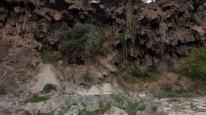 Салала - самый посещаемый курорт Омана, похожий на влажные тропики.