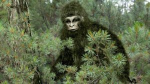 SCP 1000 - ОПИСАНИЕ, УСЛОВИЯ СОДЕРЖАНИЯ