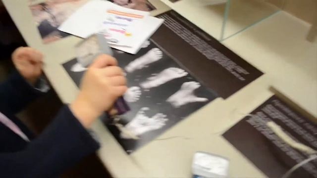 Поход в Биологический музей им. К. А. Тимирязева смотреть онлайн