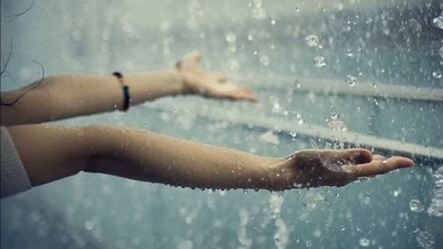 Лоя-Розы темно алые!!! смотреть онлайн