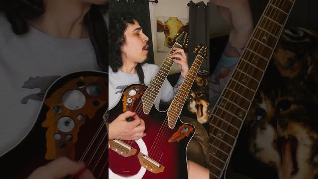 Playing with my double neck Ovation смотреть онлайн