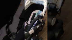 коляска babyton spider