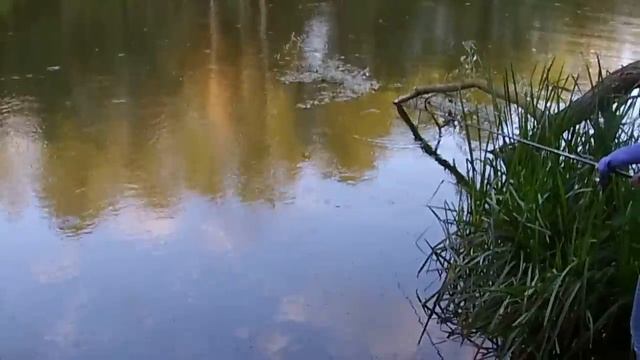 Брестская область. Холодный канал. Белоозерск. смотреть онлайн