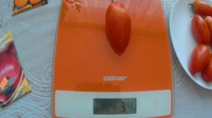 Томат Непас 8 ( Непасынкующийся морковный). 2022