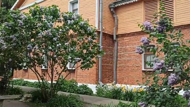 Ура! Приехала в рахманиновскую Ивановку из Кисловодска! смотреть онлайн