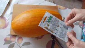 Тыква Твердокорая Грибовская Кустовая 189 Подвой Для Арбузов