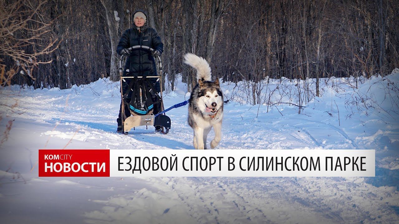 Komcity Новости — Ездовой спорт, 27.01.2018 смотреть онлайн