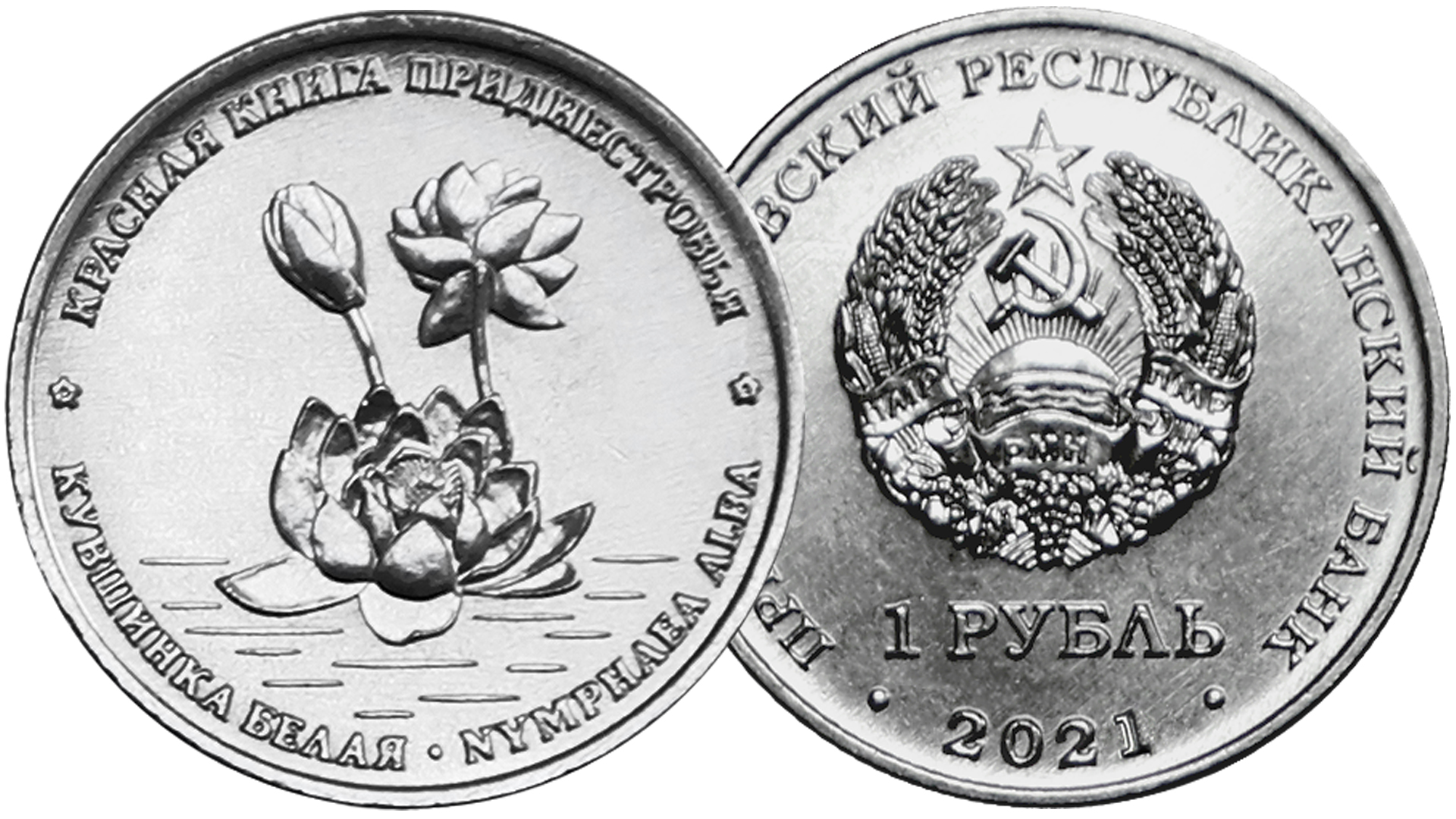 Новинка монет Приднестровья 1 рубль Кувшинка белая 2021 года. смотреть онлайн