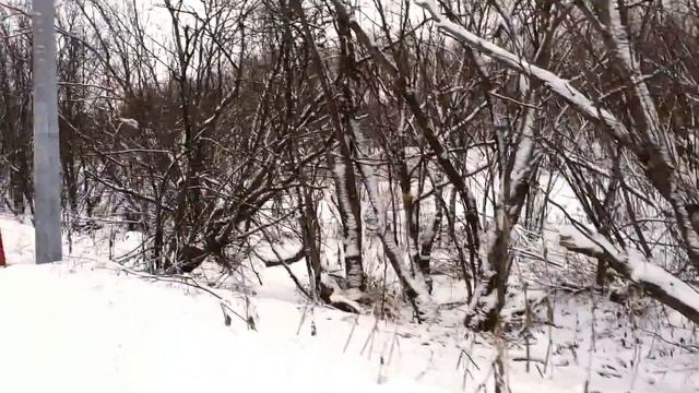 МАМА ПОЗДРАВИЛА САМВЕЛА СО СДАЧЕЙ