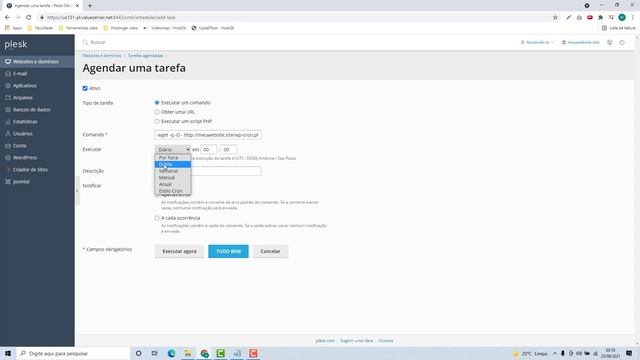 Como Configurar Cron Job no Plesk (Rápido e Fácil) 2022 смотреть онлайн
