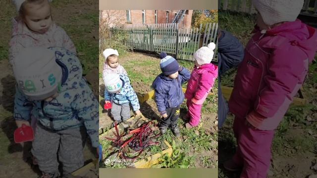 Информационно - познавательный  проект: 