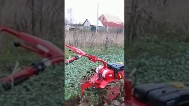 Чудо..Мотоблок Салют пашет сам,самостоятельно...Аж завидно..плуг смотреть онлайн