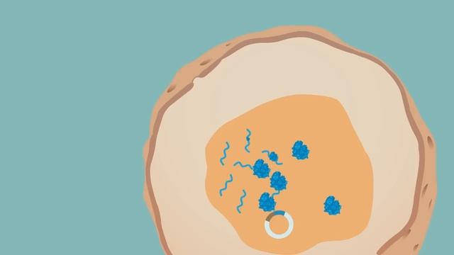 Introduction to Reporter Gene Assays смотреть онлайн