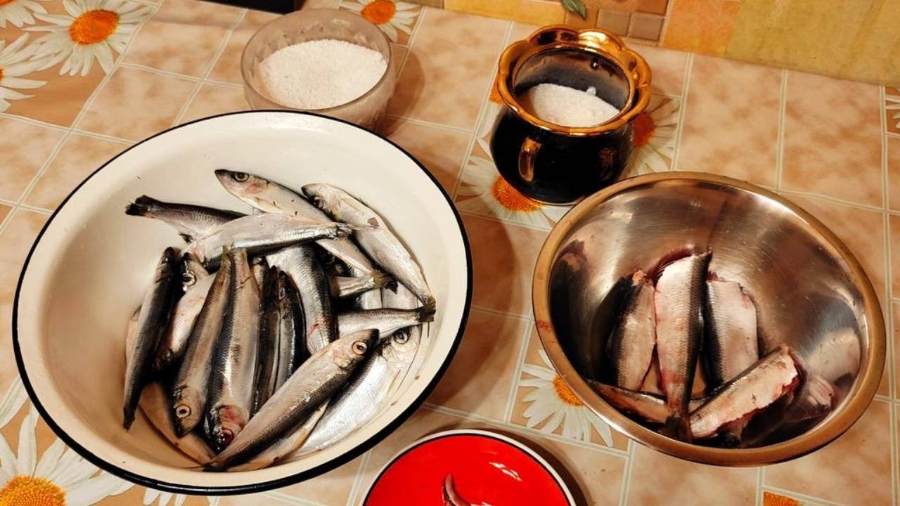 Салака свежемороженая как приготовить засолить ? смотреть онлайн