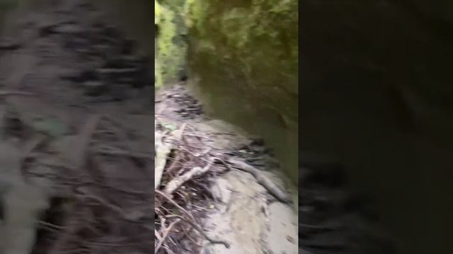 Ущелье Волчьи ворота ? смотреть онлайн