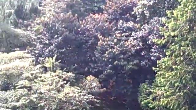 Tes drone Syma X8W смотреть онлайн