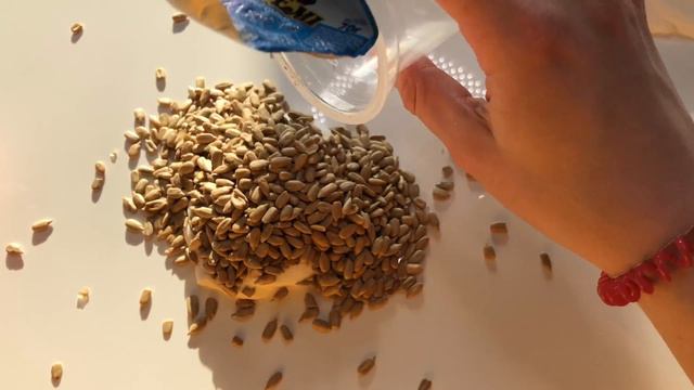 ШОК😱 CHEETOS В СЛАЙМ 🔥 ДоБАВЛяЮ МНОГО ВСЕГО В СЛАЙМ! НОВАЯ ТЕКСТУРА СЛАЙМА смотреть онлайн