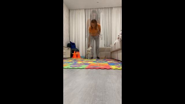 Змейка + восьмерка смотреть онлайн