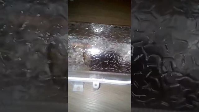 Обзор лампы 220вольт 60ватт смотреть онлайн