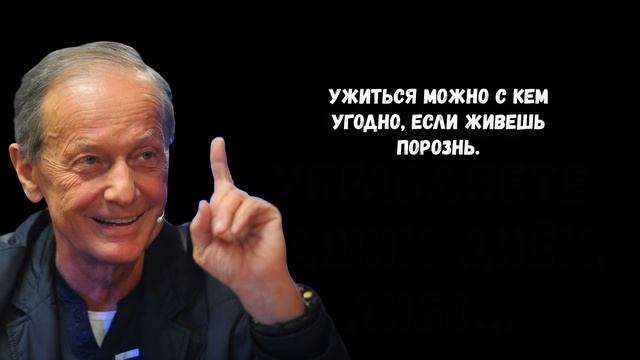 Михаил Задорнов. Лучшие цитаты и афоризмы со смыслом смотреть онлайн