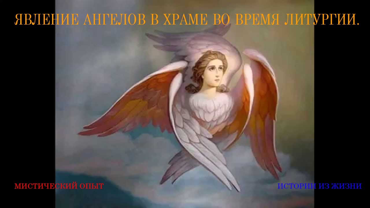 Огнекрылые 1х1 смотреть онлайн