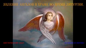 Огнекрылые 1х1