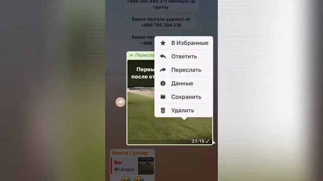 Полезные функции WA на айфонах смотреть онлайн