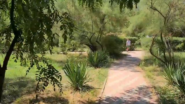Ейск?Ремонт в Моревке. Пляж, медузы жалят, божьи коровки кусаются... Наши куры едят медуз... смотреть онлайн