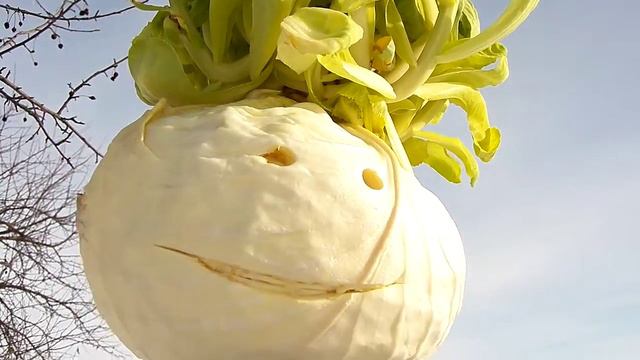 С ДНЕМ РОЖДЕНЬЯ ВАЛЯ от тётушки Капусты смотреть онлайн