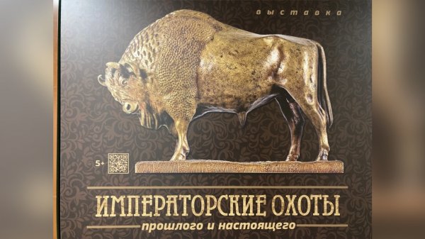 Императорские охоты прошлого и настоящего - выставка в Дарвиновском музее