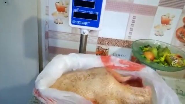 Забой гусей. Чистый вес | День 13.