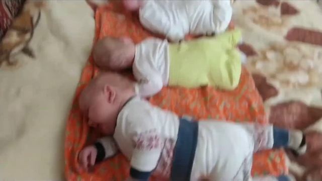 Тройня. Ни минуты без движения. смотреть онлайн