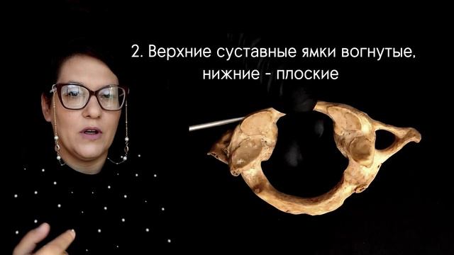 Первый шейный позвонок, второй шейный позвонок. смотреть онлайн