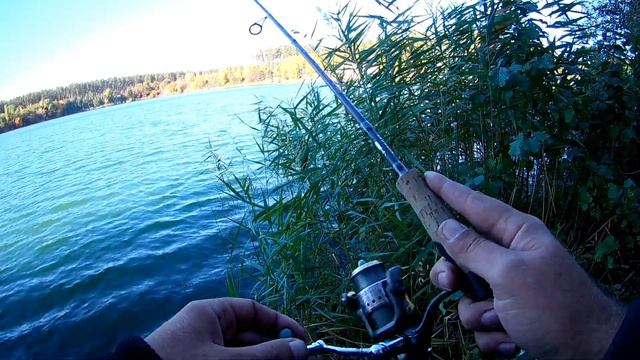 Окунь на микро-джиг. Силикатные озера 11.10.2018 г. смотреть онлайн