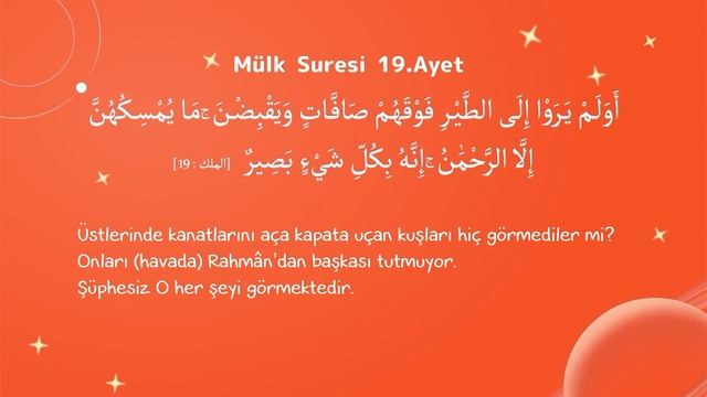 Riko - 4 bölüm Bir Arada - Tam 20 Dakika #çizgifilm #eğlence #bilim #teknoloji #islamvebilim смотреть онлайн