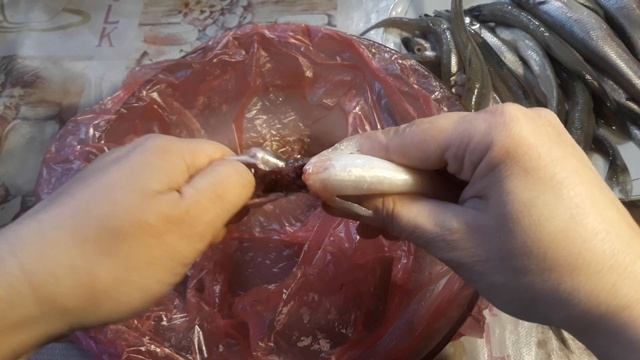 ПИТЕРСКИЙ ДЕЛИКАТЕС - ЖАРЕНАЯ КОРЮШКА/РЫБА - С ЗАПАХОМ СВЕЖЕГО ОГУРЦА ? смотреть онлайн