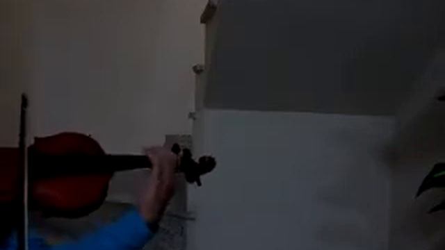 Violino 4/4 Andrew Schroetter 1995 Mittenwal Baviera Germany