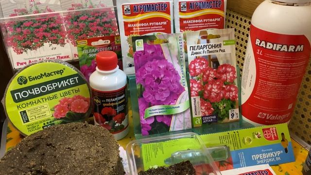 Посев семян пеларгонии. Мой опыт и нюансы смотреть онлайн