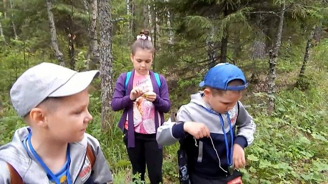Уроки выживания в лесу для детей. смотреть онлайн