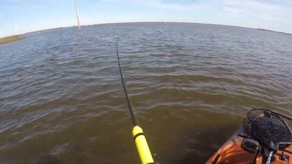 Louisiana Redfish From A Kayak At PAC