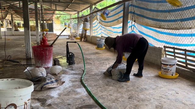 Chicken farm: how to use farm disinfectant chemicals before raising chickens смотреть онлайн
