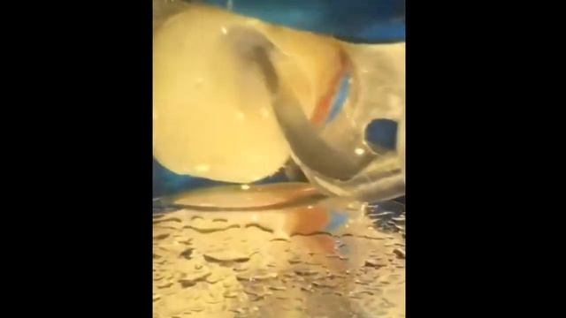 2020-10-26 Ревизия вертикальной трещины смотреть онлайн