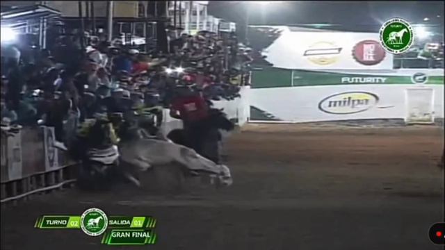 Final Futurity Del Coleo Turnazo Wilson Lloverá en Perro Rebelde смотреть онлайн