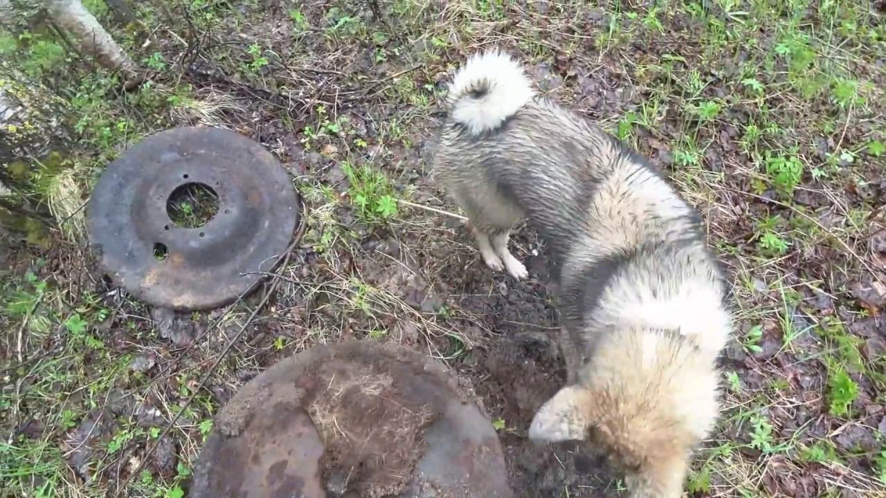 Разведка для “Металло Копа” под проливным дождем в лесу смотреть онлайн