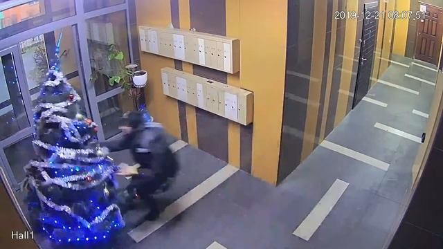 Быстрая Реакция Папы!!! Падение елки на Малышей! смотреть онлайн