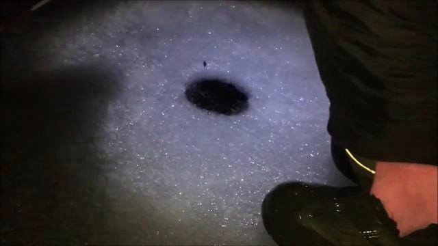 Утренний клев форели! Блесны, паста и малек! смотреть онлайн