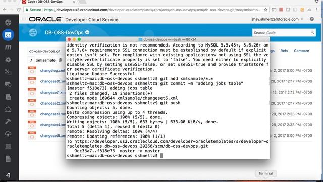 Liquibase with Oracle DB and Developer Cloud Service смотреть онлайн