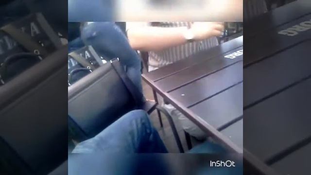 Танцуй, Россия смотреть онлайн