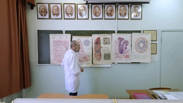Периферические органы кроветворения смотреть онлайн
