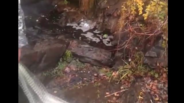 карась на кастинговую сеть смотреть онлайн